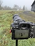 Review Image by MC0311