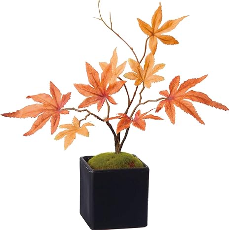 Amazon ポピー 造花 紅葉 もみじ 盆栽 人工 フェイク グリーン 観葉植物 オレンジ 全長23cm 幅18cm Gla 1357or 人工 観葉植物 オンライン通販 Amazon ポピー 造花 紅葉 もみじ 盆栽 人工 フェイク グリーン 観葉植物 オレンジ 全長23cm 幅18cm Gla 1357or 人工 観葉植物 オンライン通販