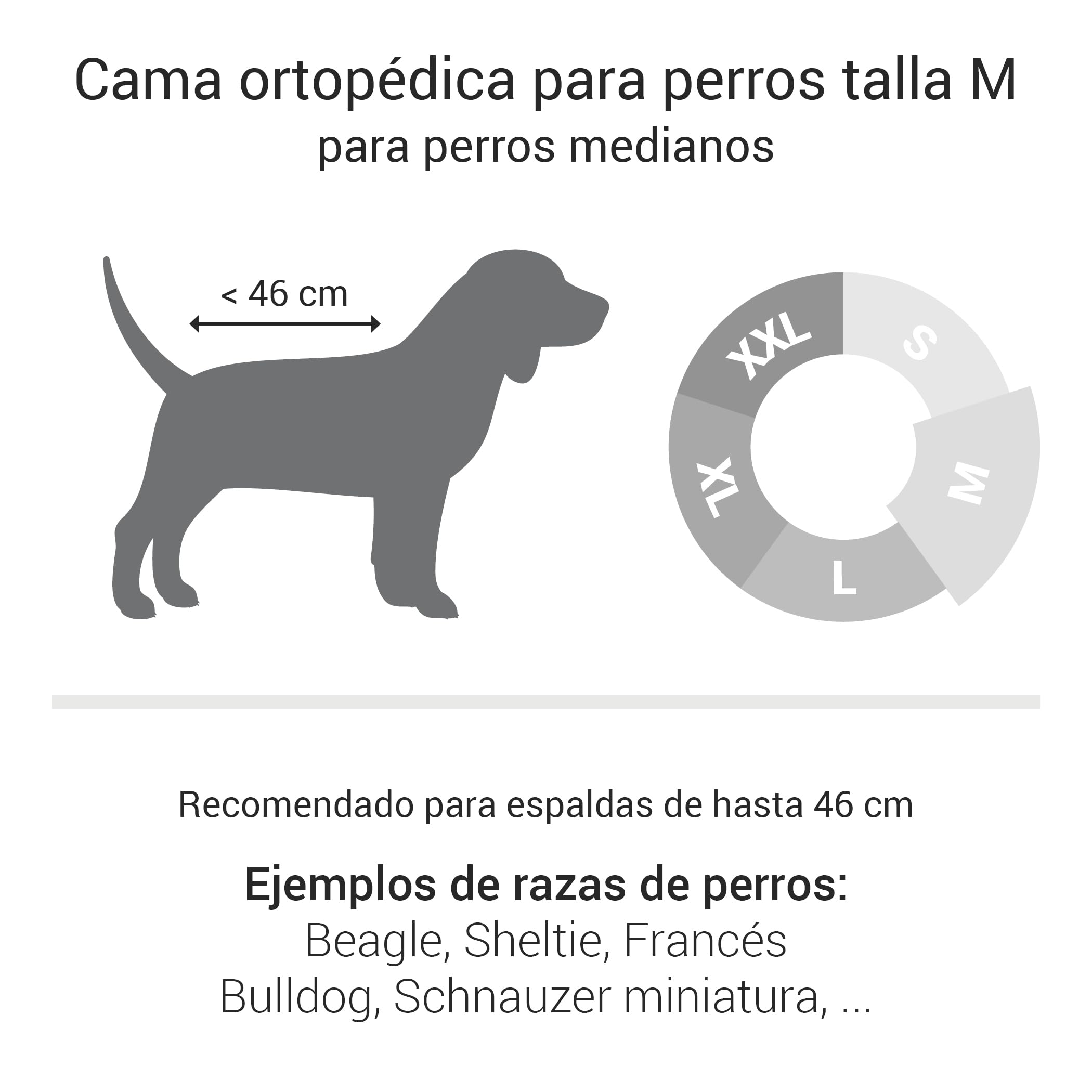 Doctor Bark Cama ortopédica para perros, lavable hasta 95 °C, sin olor e higiénica, acogedora decoración para perros medianos (M - 80 x 70 cm, gris claro)