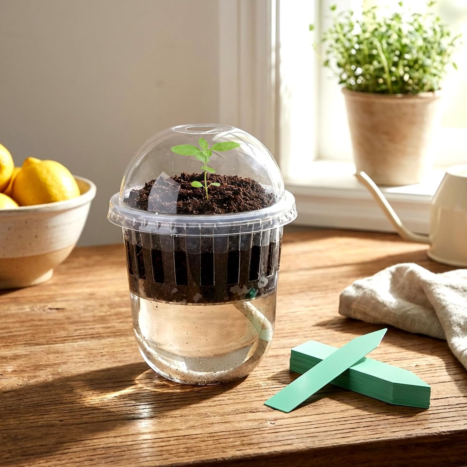 50 Pcs 3.3 Inches Clear Self Watering Seed Starter Pots with Humidity Dome Inner Cup Planter Plastic Baskets Bulk with 50 Plant Labels Water Absorbing Wicks for Indoor Outdoor Plants