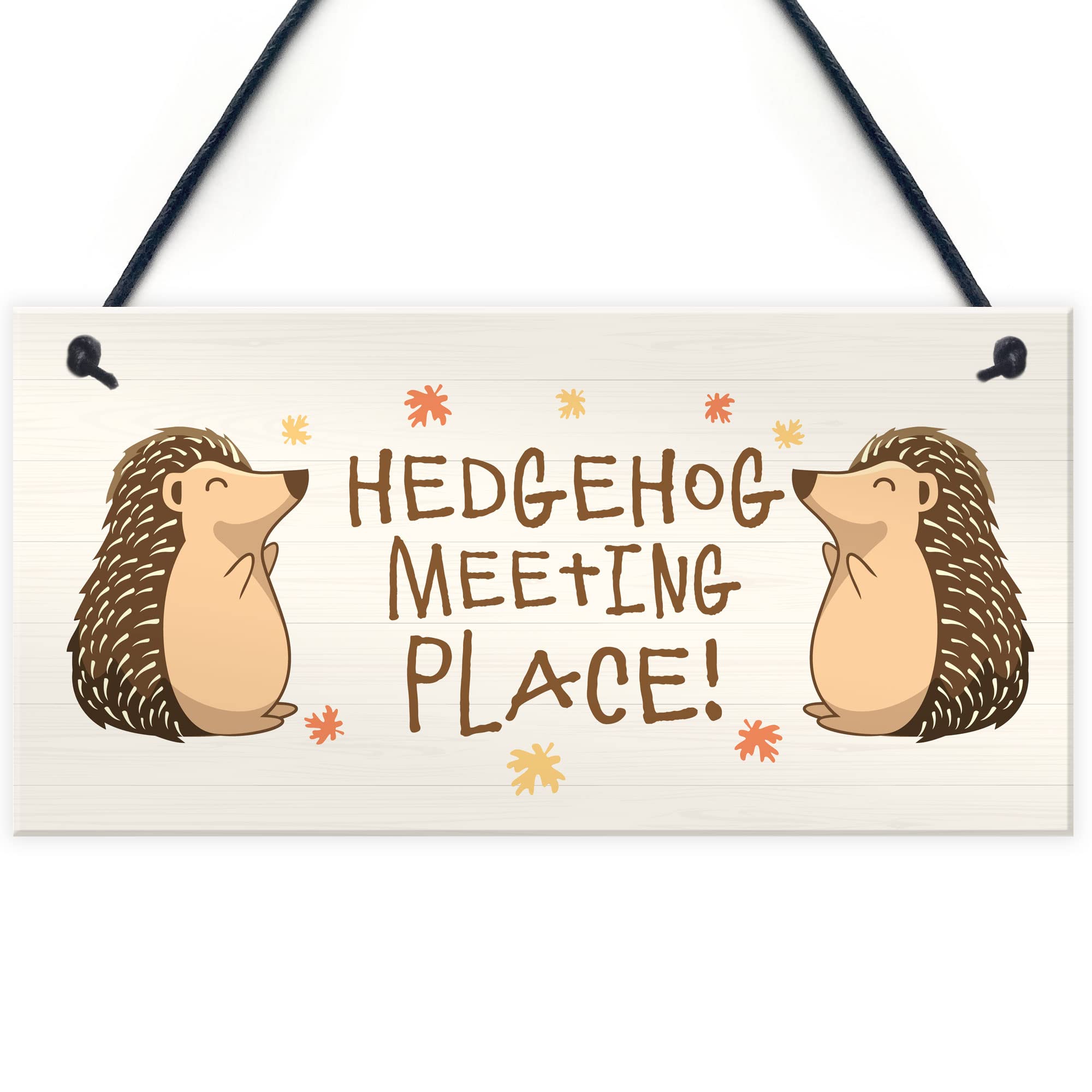 Funny Garden Sign Hedgehog Plaque MEETING PLACE Home Decor Outdoor Sign