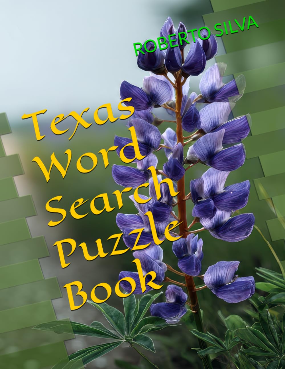 Texas Word Search Puzzle Book
