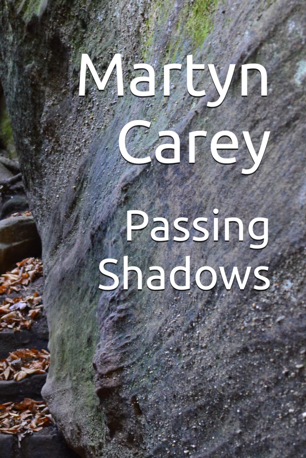 Passing Shadows (Grey Neighbours)