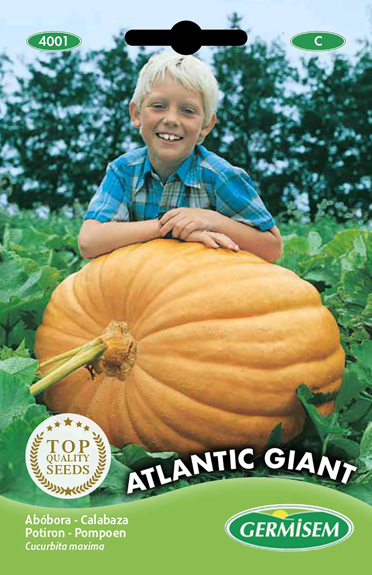 Germisem Atlantic Giant Semillas de Calabaza 3 g, EC4001