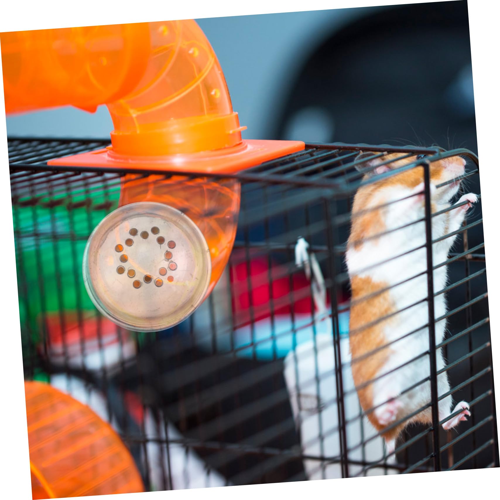 4 Stück Hamstertunnel Stopfen aus Kunststoff Stabile Außenstecker für Hamsterkäfige Fördert Gesunde Gewohnheiten für Außengehege und Käfigerweiterung Zufällige Farbe