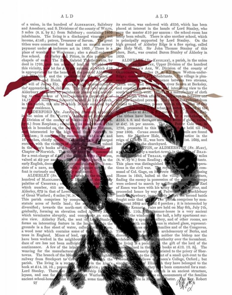 Dalmatian With Red Fascinator Poster Print - Funky Fab (24 x 36)