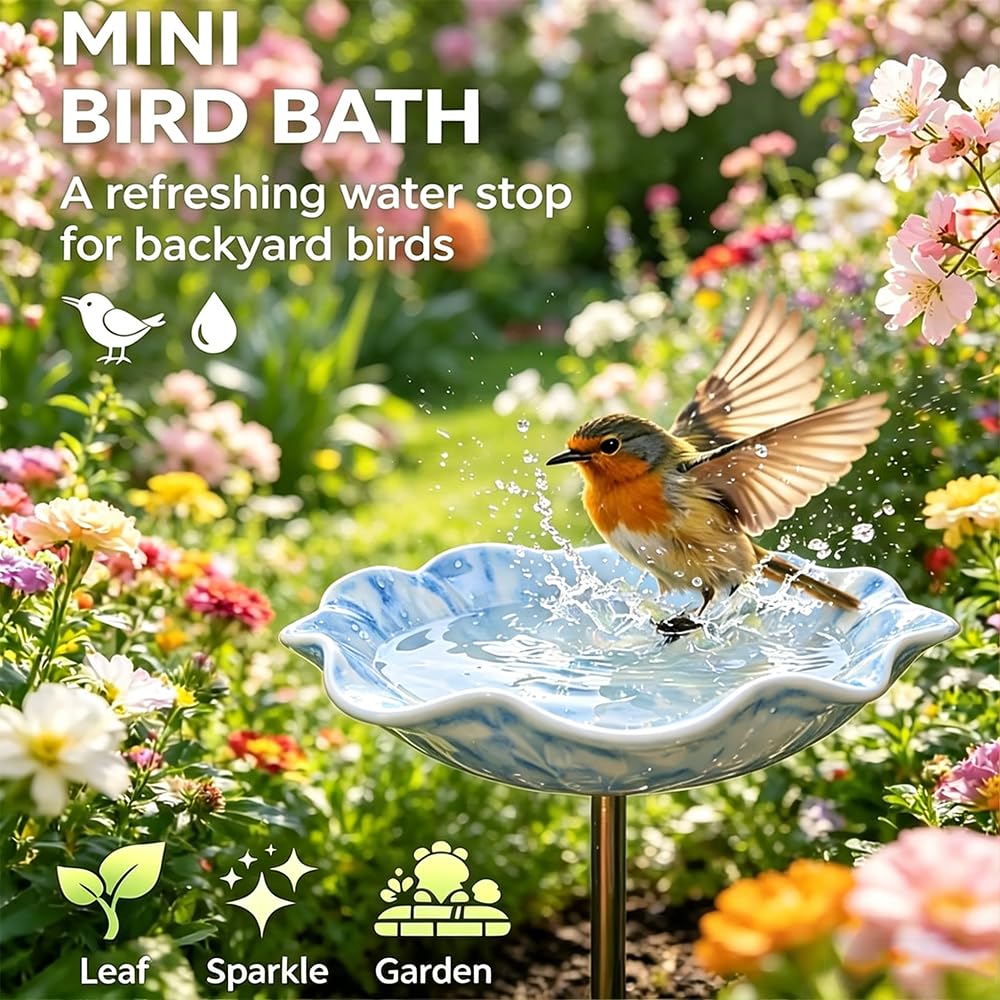 View 4