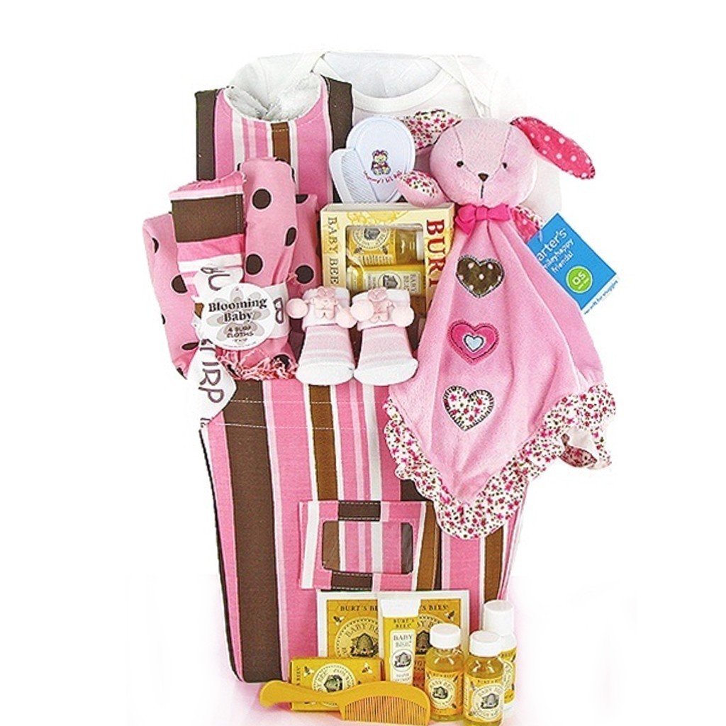 Trendy Pink & Brown New Baby Girl Gift Basket Great