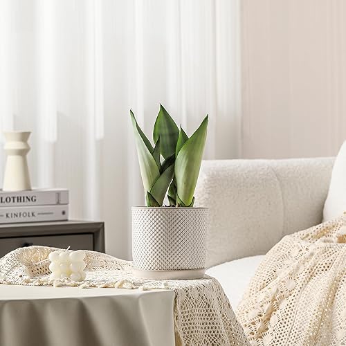 Miniatura 5 de Macetas de 5.8 pulgadas maceta de cerámica con orificio de drenaje y platillo - Maceta para plantas de interior y exterior - Diseño con cuentas en