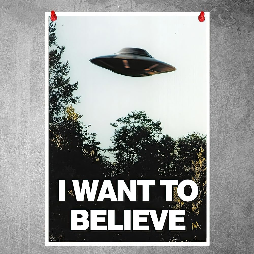 Amazon.co.jp: The X Files I Want To Believe ポスター-I Want To