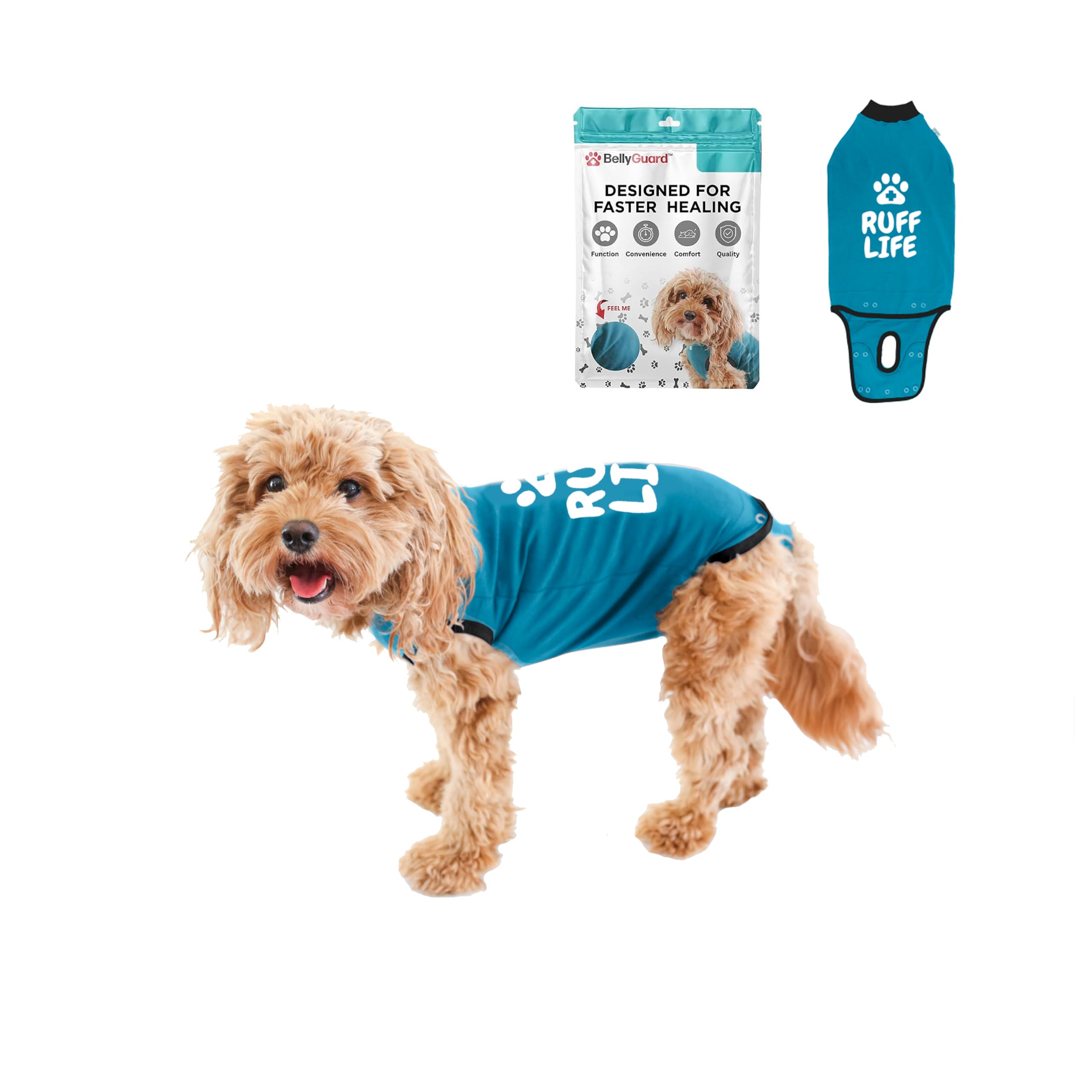 BellyGuard Dog Surgery Recovery Suit, Male Female After Spay Neuter Onesie