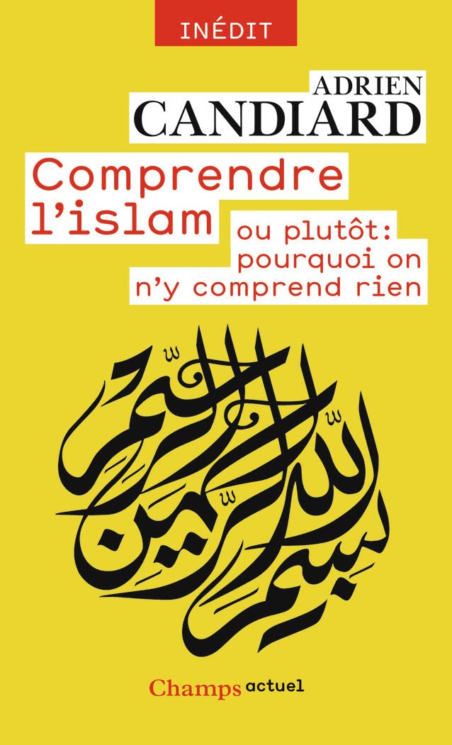 Comprendre L'Islam: Ou plutôt : pourquoi on n'y comprend rien