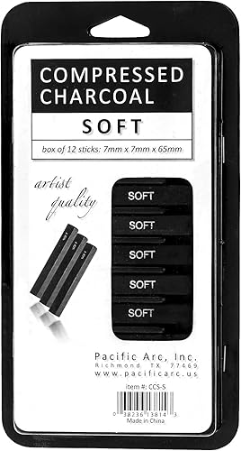 Pacific Arc Palitos de carbón comprimido suaves, paquete de 12 para dibujar, dibujar y sombrear