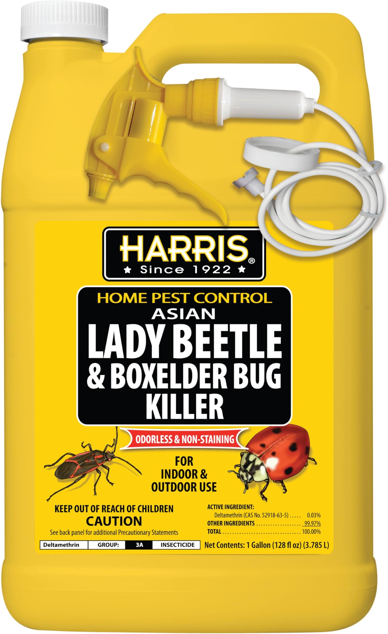 Harris Asian Lady Beetle, Japanese Beetle, and Box Elder Killer, Liquid Spray with Odorless and Non-Staining Extended Residual Kill Formula (Gallon)