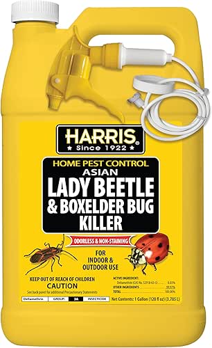 Harris Asian Lady Beetle, Japanese Beetle, and Box Elder Killer,