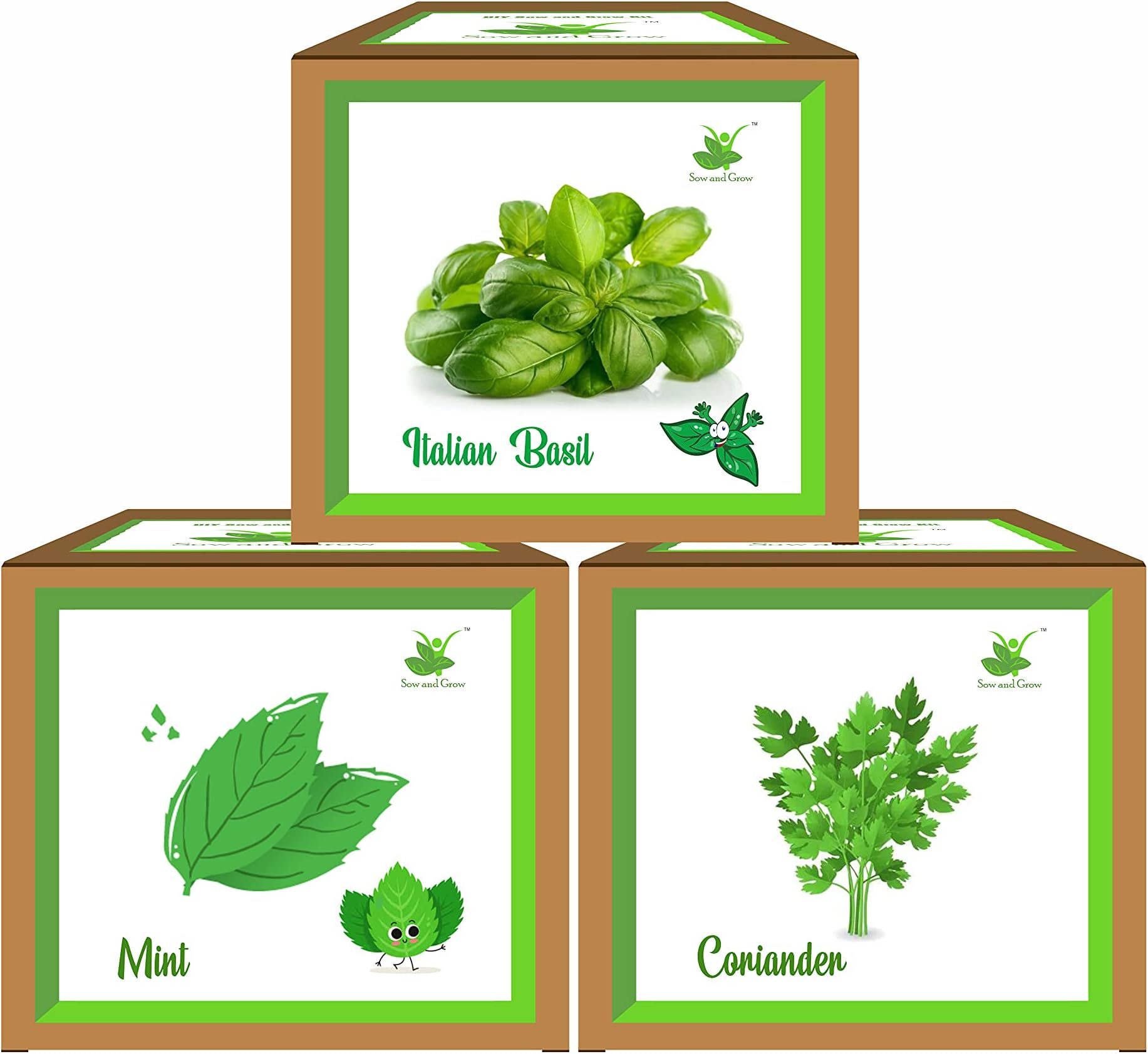 Sow and Grow Seed Starter 3 Herb Grow Kits : Mint + Coriander + Italian Basil || DIY Easy Grow it Yourself Gardening Kit for Home and Garden || A Complete Beginner Gardeners Gardening Set