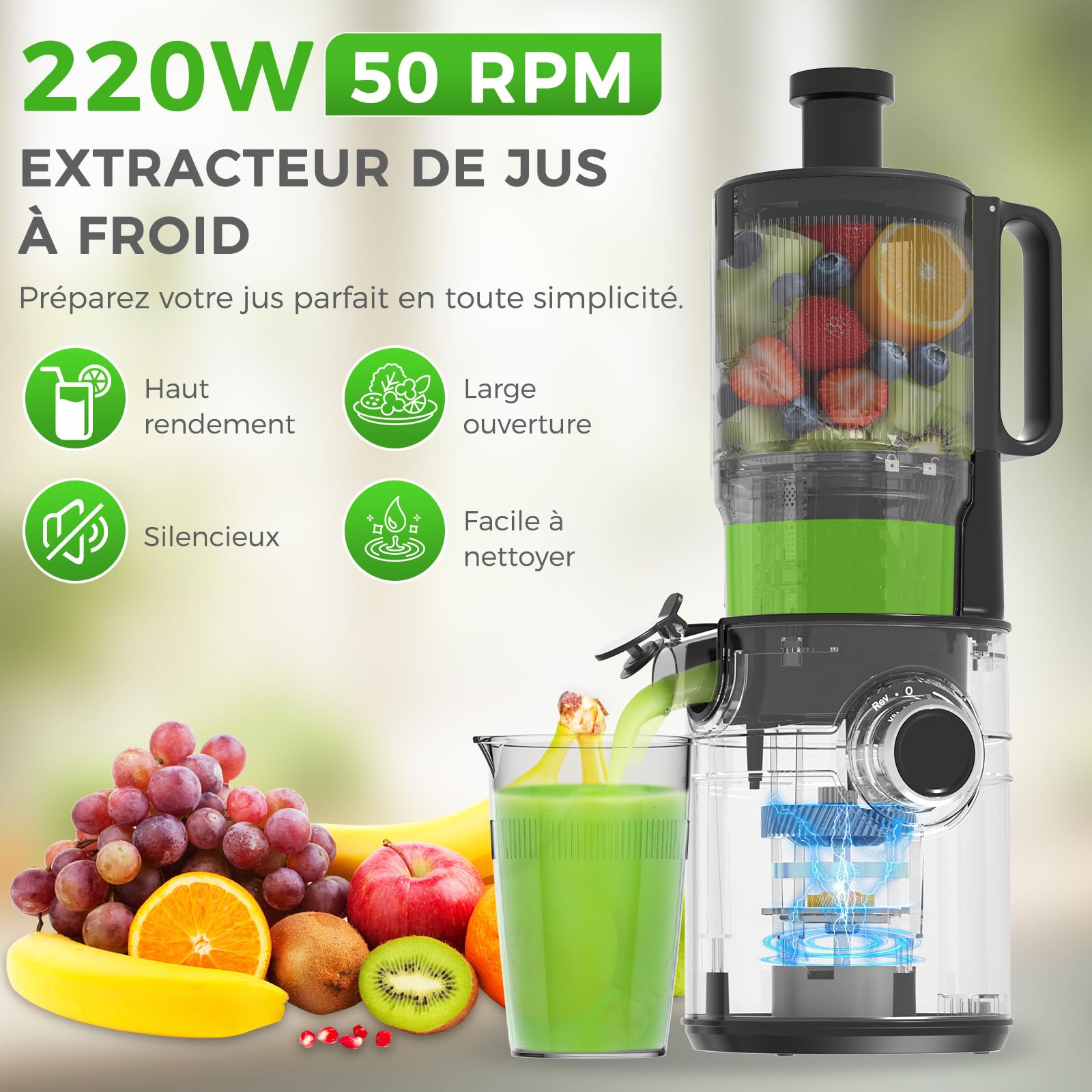 YASHE Extracteur de Jus à Froid, Slow Juicer 127 mm, 50 Tr/Min, Sans BPA, Noir