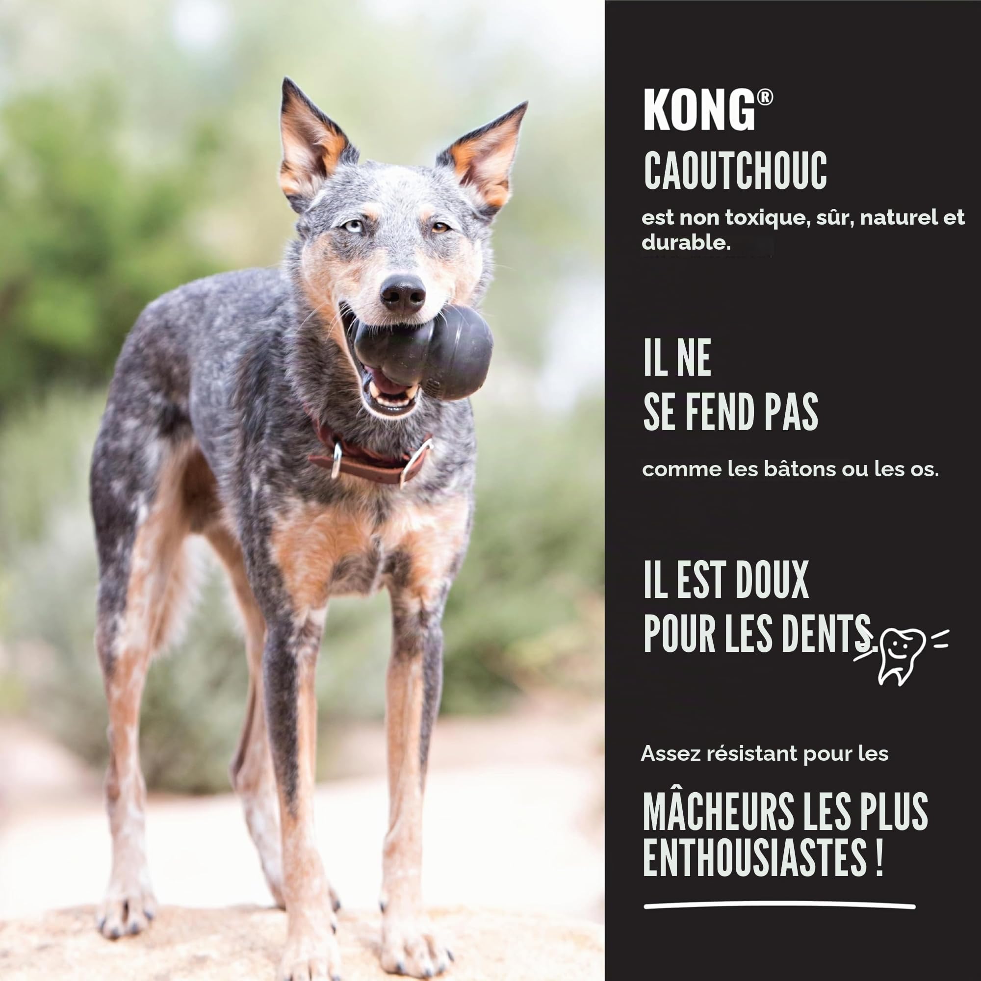 Kong - Extreme Goodie Bone Os pour Chien en Caoutchouc Naturel Le Plus Durable pour Les mâcheurs puissants – Noir – pour Chiens de très Grande Taille