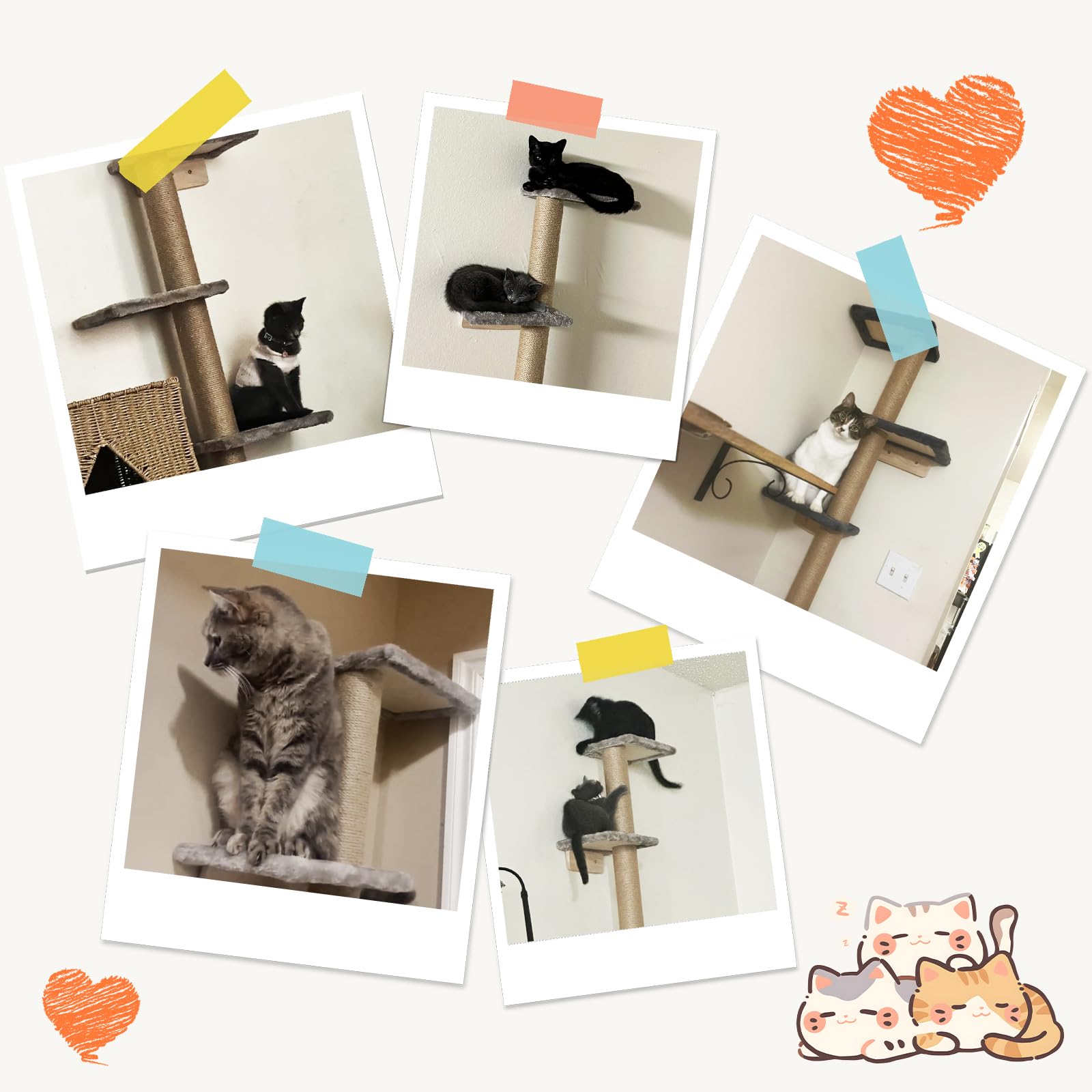 PAWSCRAT Cat Wall Shelves, Wall-Mounted Cat Tree, 5 Tier Floor to Ceiling Cats Tower, 80 Inch Wall-Mounted Cat Scratching Post, Space Saving Cat Furniture and Easliy Climb for All Cats, Gery - image 6