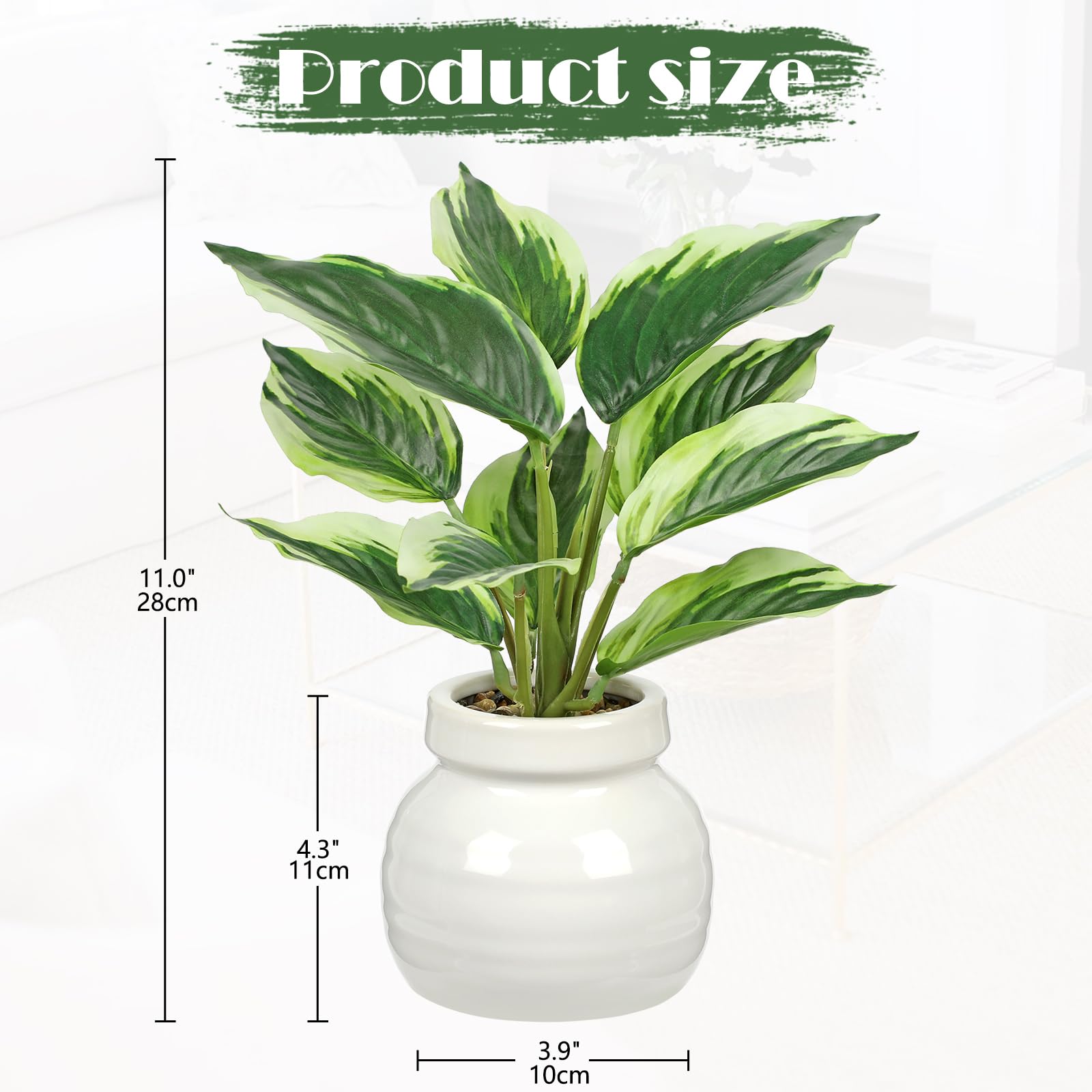 Arborus Small Artificial Plants Indoor in Ceramic Pot 11" Artificial Dieffenbachia Plants Fake Plant with White-Edged Leaf Faux Potted Desk Plants for Living Room Office Bathroom Home Decoration - Image 2