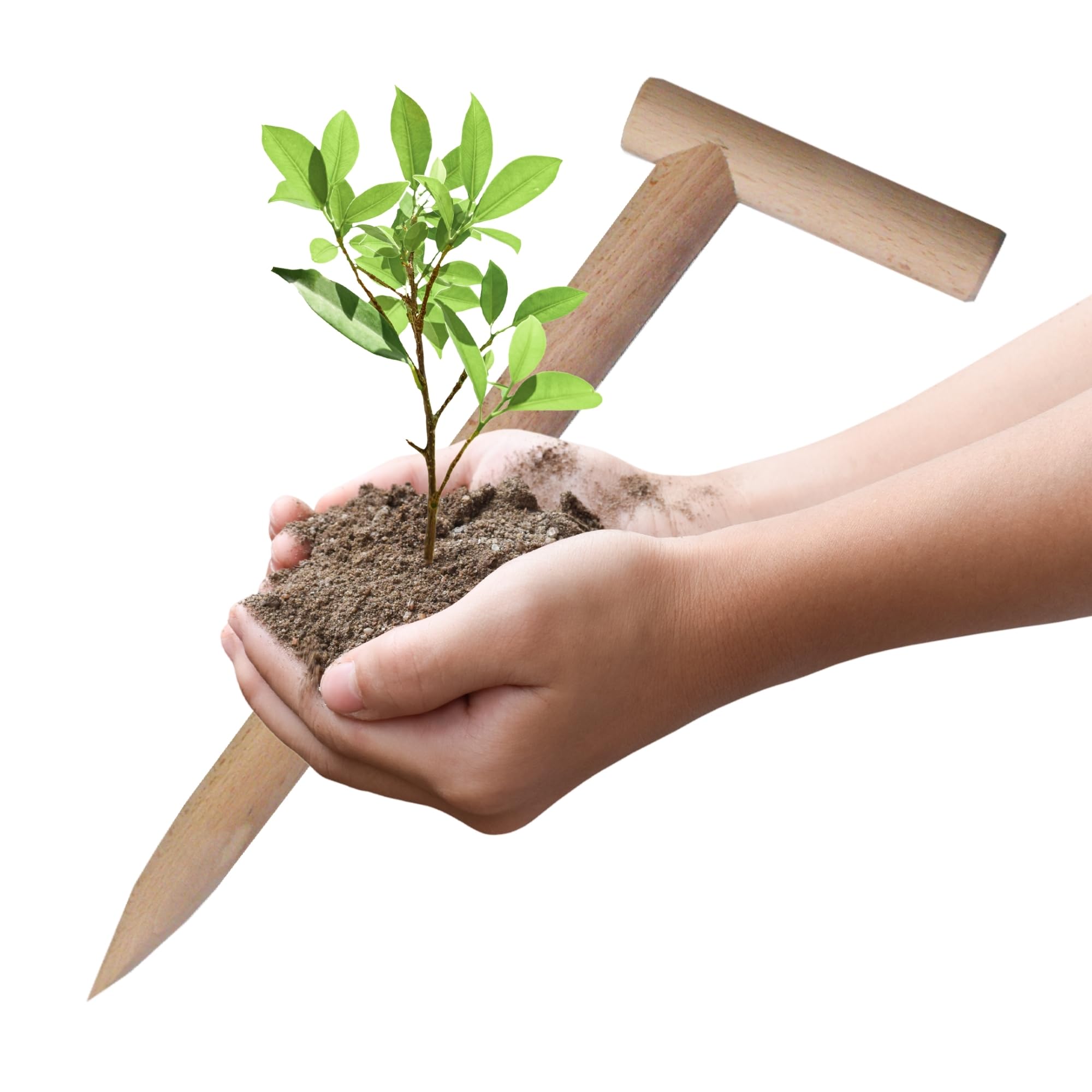 Albagarden - Piantatore Per Orto In Legno Naturale - Foraterra O Trapiantatore Manuale Per Piantine - Resistente E Leggero Utile Per Attrezzi Da Giardino E Giardinaggio - 44 x 13 x 3 cm