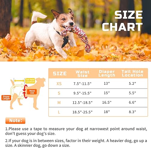 Miniatura 2 de Pañales lavables para perras paquete de 3 pañales reutilizables de alta calidad altamente absorbentes pañales flexibles para cachorros pañales