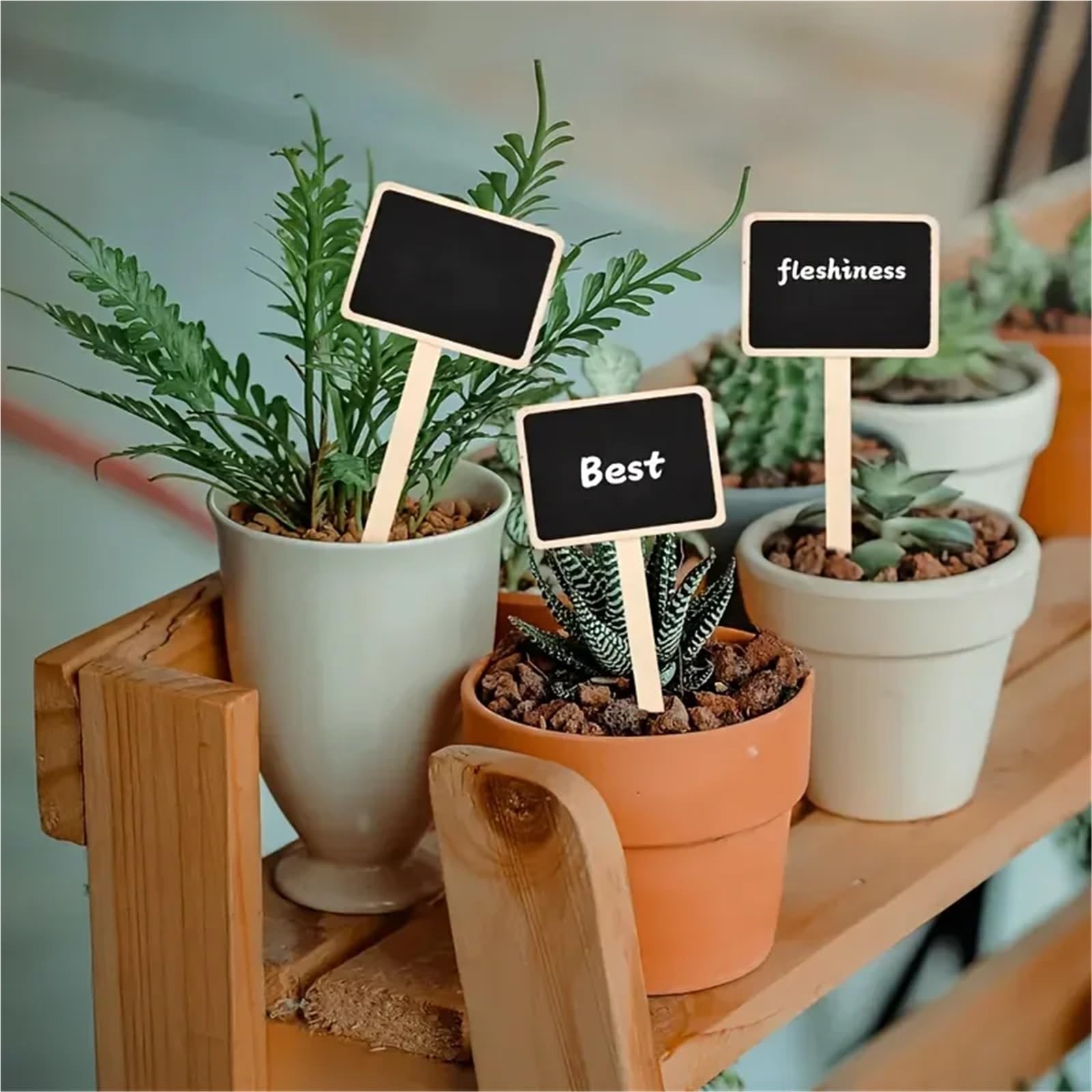 Lot de 100 étiquettes rustiques en bois pour plantes en forme de T, tableau noir, tableau à message à fixer au sol