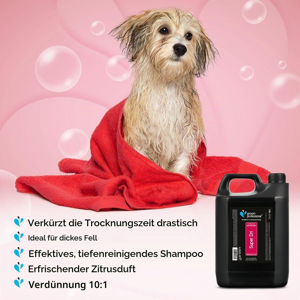 Groom Professional Super Dri Shampoo 4L Schnell Trocknendes Hunde-Shampoo mit Speziellem Tensid zur Reduzierung der Felltrocknung – Tiefenreinigung mit Zitrusduft Für Dichte und Dicke Felltypen