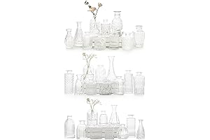 Glass Bud Vases in Bulk - Your Perfect Companion for Stunning Floral Arrangements