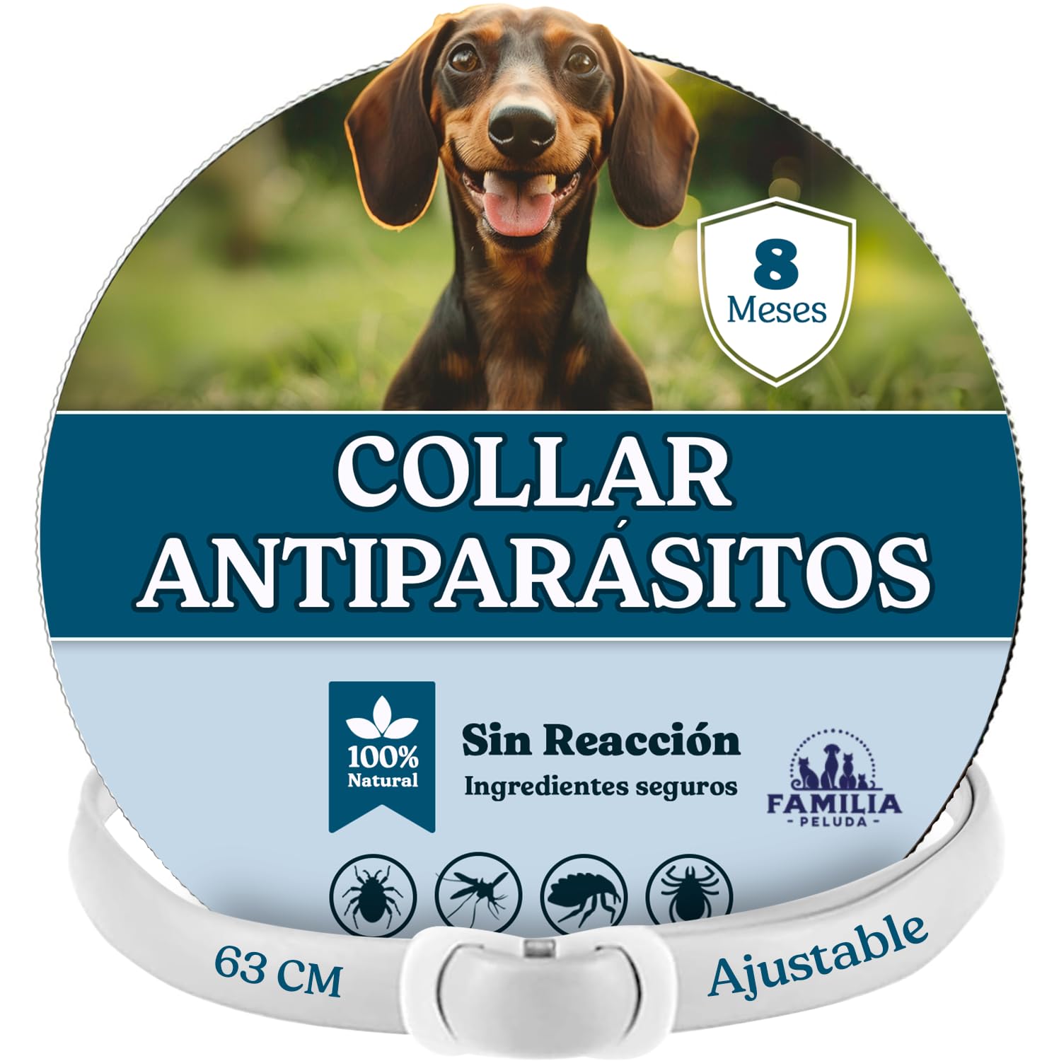 Collar Antipulgas Perros - Collar Antiparasitario Perros pequeños y Grande - Collar Leishmaniosis (Mosquitos), Pulgas y Garrapatas - 8 Meses - 63cm Ajustable, Repelente 100% Natural, Impermeable