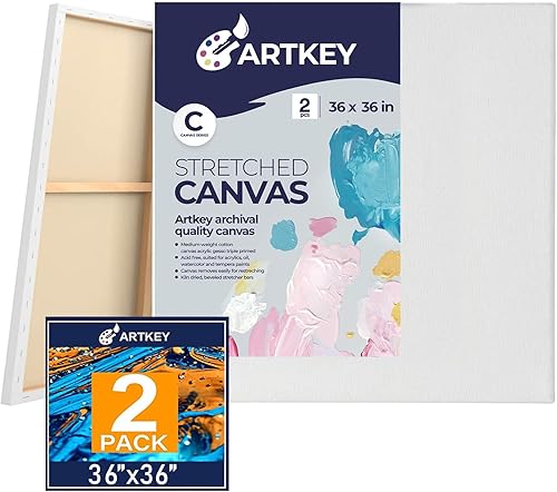 Miniatura 21 de Lienzos estirados para pintar de 24 x 36 pulgadas, paquete de 2, 12.3 onzas, triple imprimado sin ácidos, 100% algodón, lienzos grandes para pintura