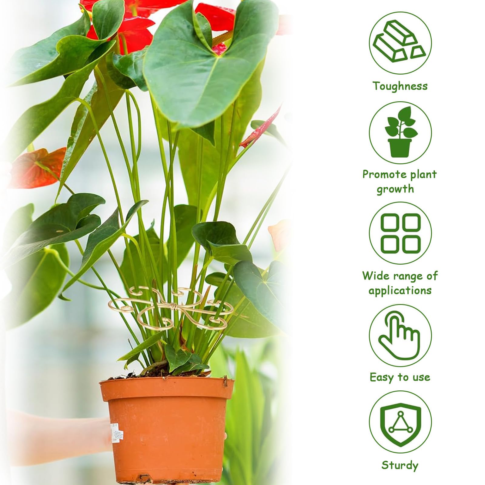 Lot de 5 supports de tige de plantes Iron Monstera - Support de tige durable à crochet pour une croissance saine - Ensemble de pinces en bambou pour stabilisation et soutien des feuilles - Cadeau