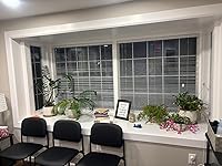 Review Image by Sherri Sherri