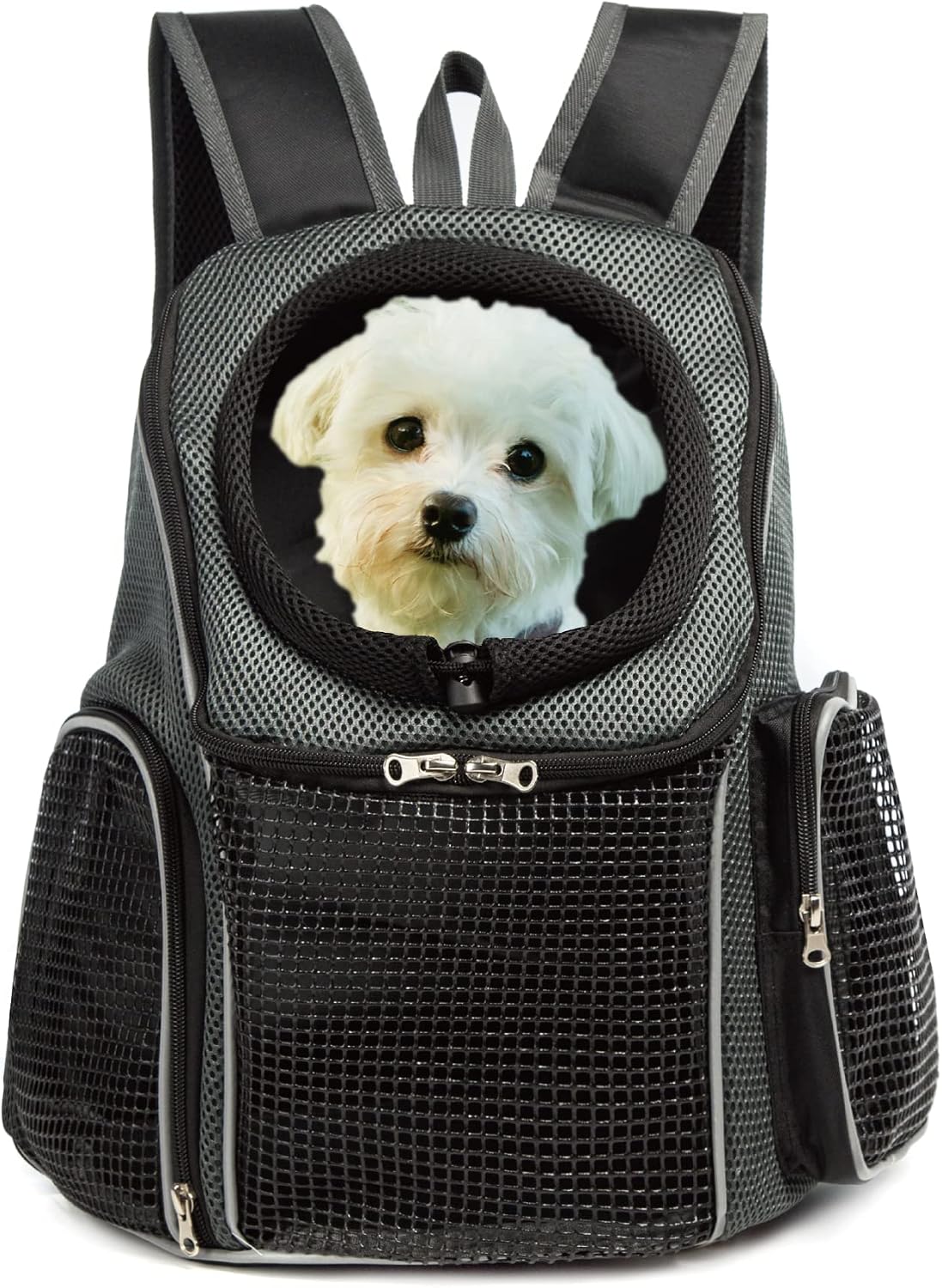 cat Carrier Small Dog Carrier Dog Backpack cat Carrier Small Dog Side Entrance Safety Function Back Support Suitable for Cats Dogs to…