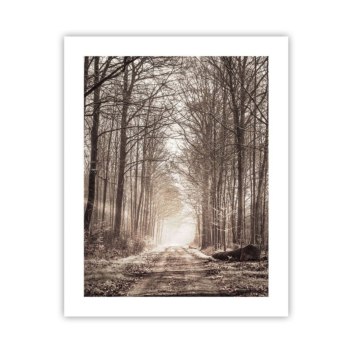 ARTTOR Affiche Decoration Murale Automne Montagne Forêt Nature Moderne Poster Cadre Blanc 40x40cm Deco Affiches Murales Tableau Decoration Salon Chambre Cuisine Wall Art Design Decor P2WAC40x40-2713