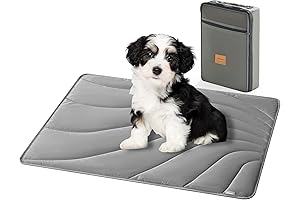 Allisandro: The Ultimate Outdoor Dog Bed for Unparalleled Comfort
