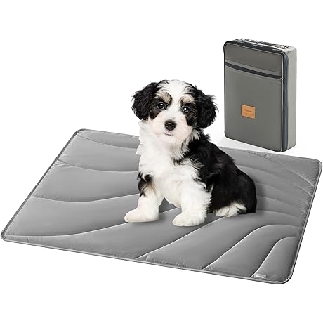 Allisandro: The Ultimate Outdoor Dog Bed for Unparalleled Comfort