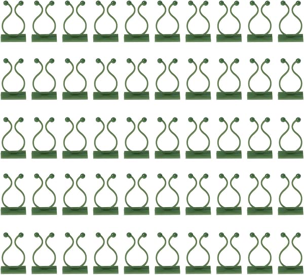 50 clips verts pour plantes grimpantes