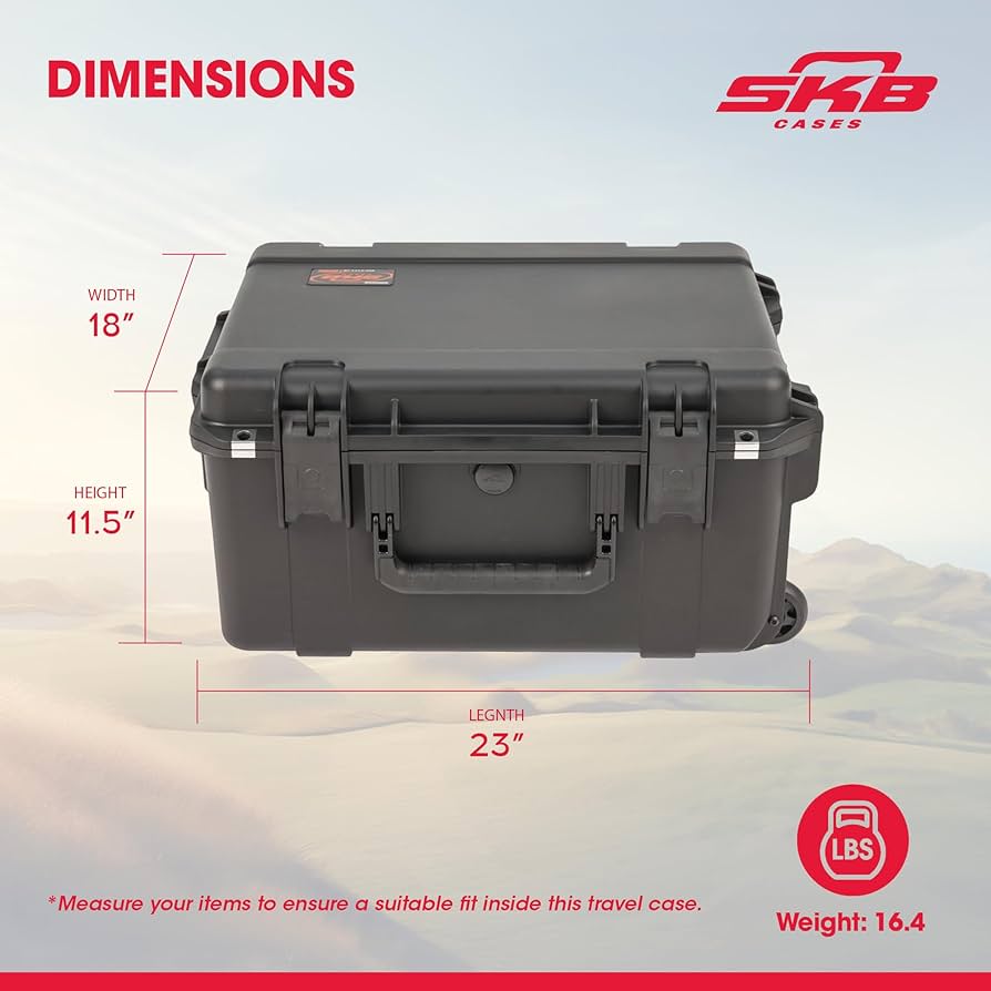 DEAN MAB3 美品　専用ケース付 DENSAN デンサン スケルトンパーツケース 大 SP33-MS50