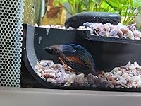 Review Image by Jen F. Jen F.