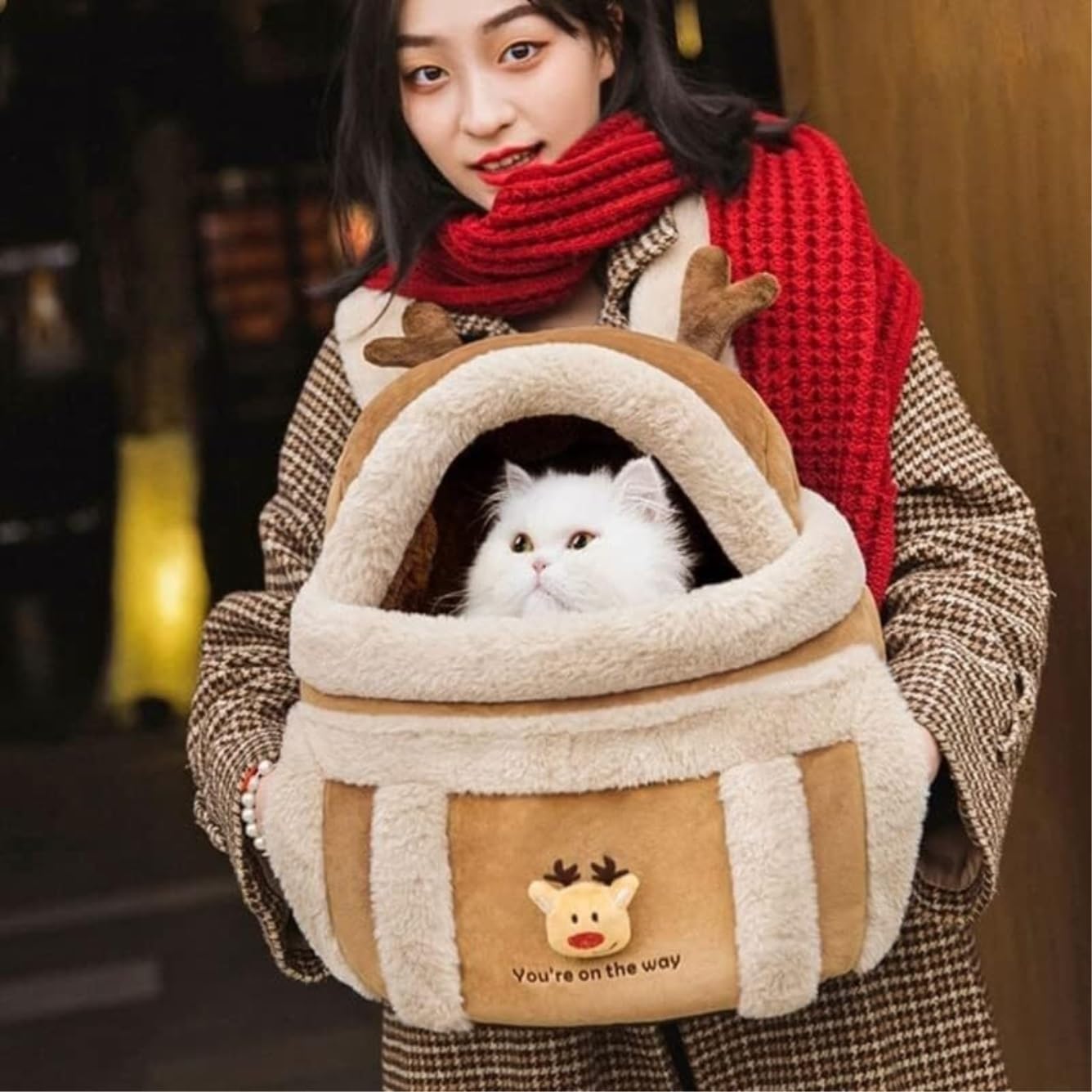 Rucksack Winter Haustier Rucksack Reisetasche Für Katze Hund Tragbare Käfig Tasche Träger Tragen Haustier(Brown,11.02 * 8.27 * 14.17in)