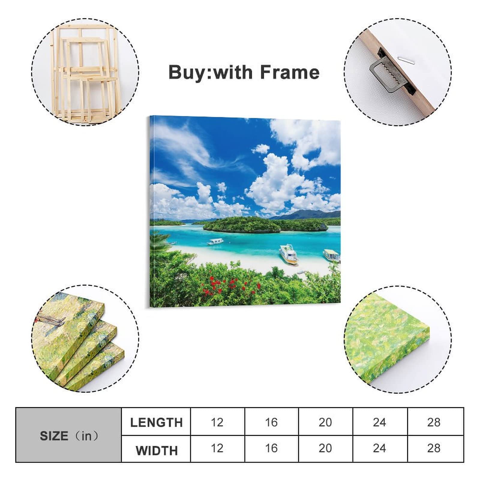 著名な写真家の作品パネル「Look at me 」 沖縄県石垣島の海中