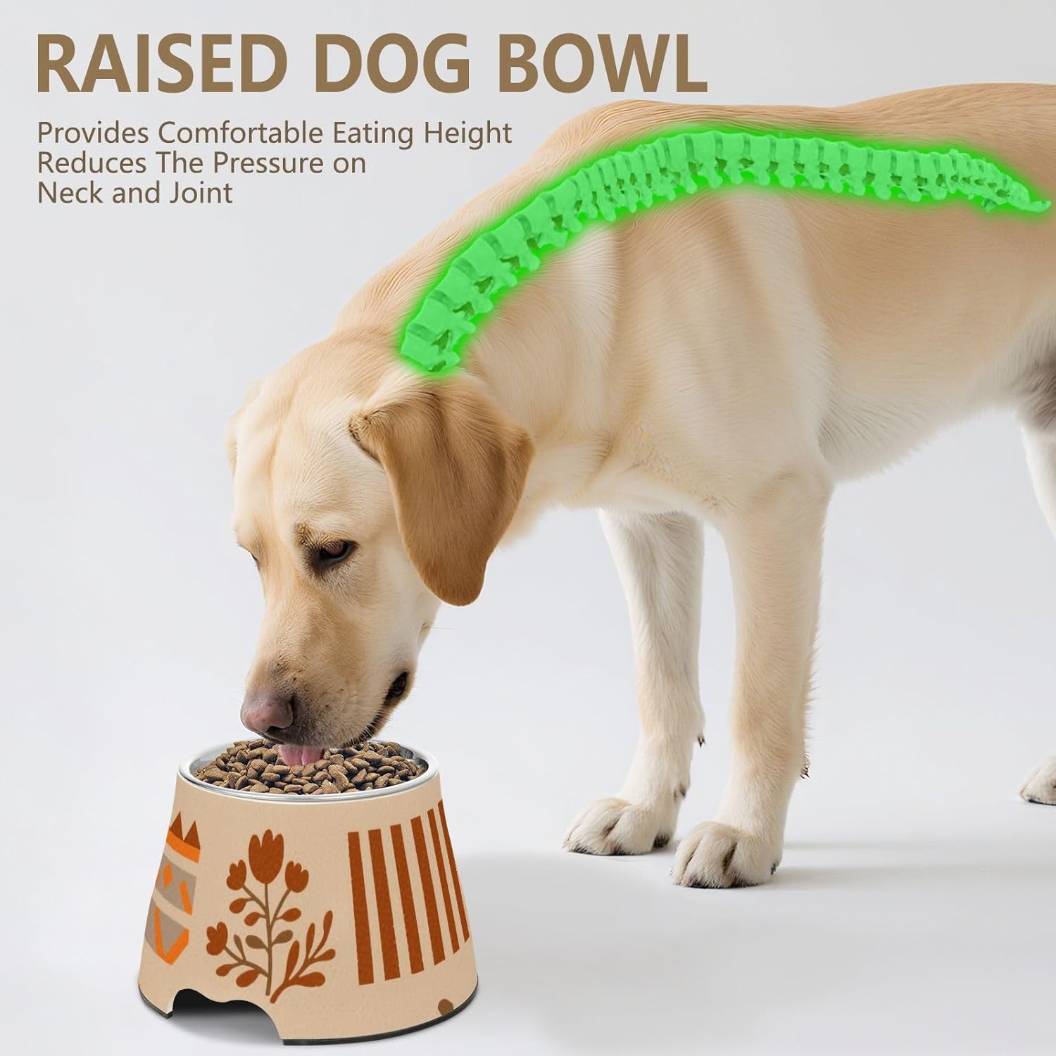 Ethnic Ornage Pumpkin Brown Dogs Food Water Bowl Elevated Stainless Steel Raised Cat Bowl for Small Pet Comfort Feeding platos para Perros plastico