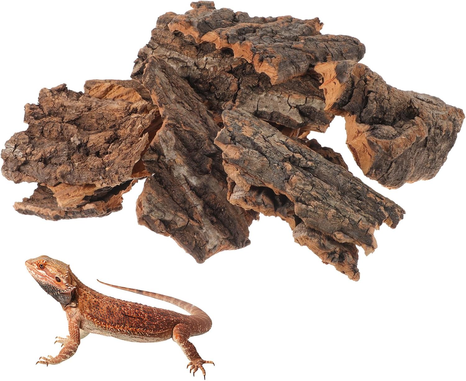 14Pcs Natural Cork Bark Reptile Bark Decor and Hideout 5.11X2.95In Climbing Platform for Leopard Gecko Snake and Lizard Habitat Accessories
