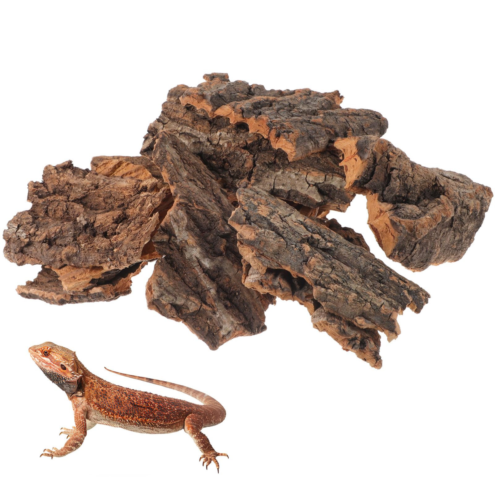 Literie pour serpents et geckos en écorce naturelle | Décor aquatique 14pcs