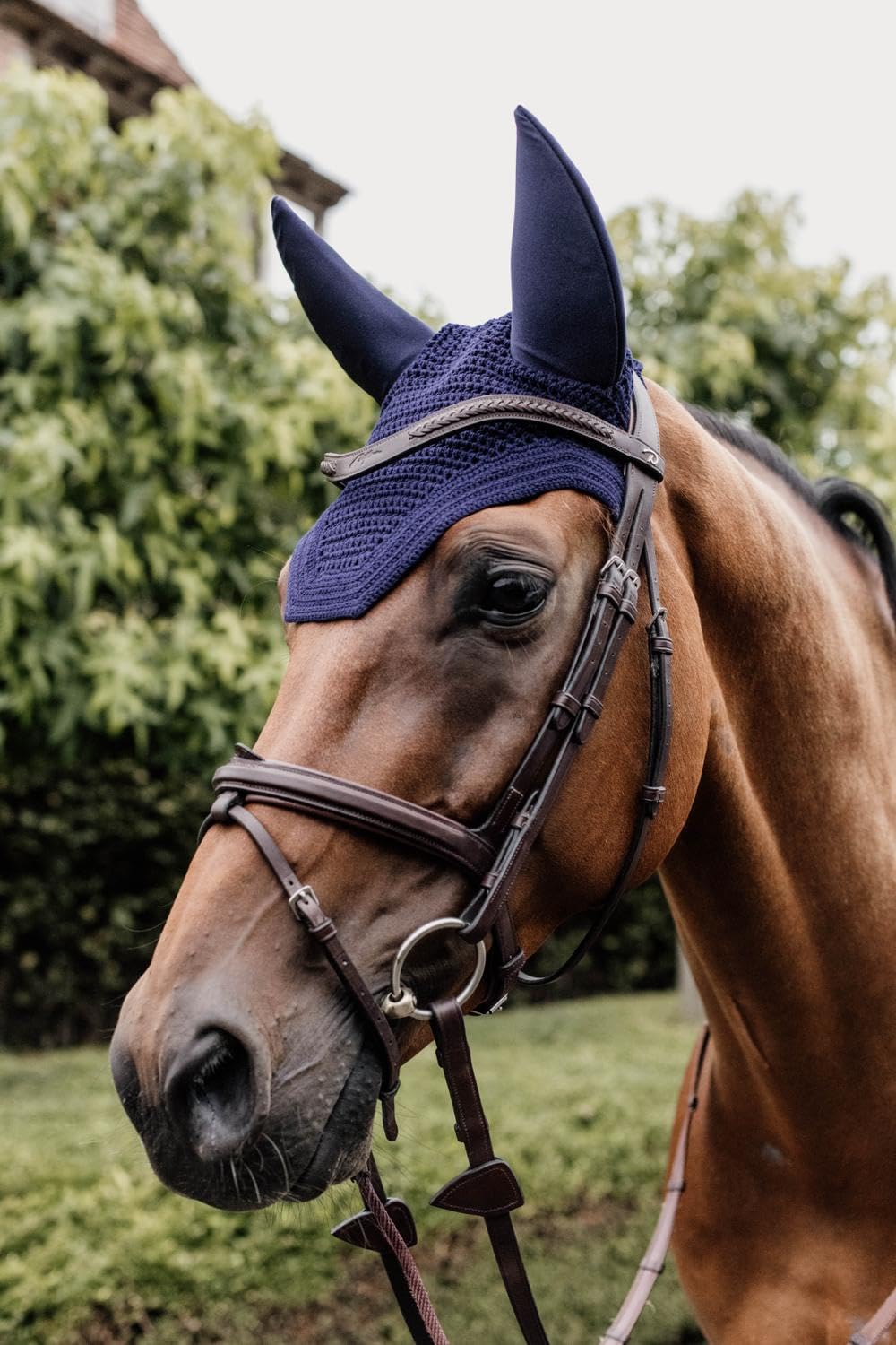 Kentucky Horsewear - Bonnet Wellington - Velours - Marine Foncé - Pour Cheval
