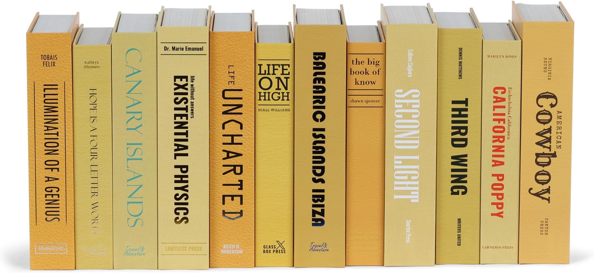 colorbloc Color Decorative Faux Books Set for Living Room