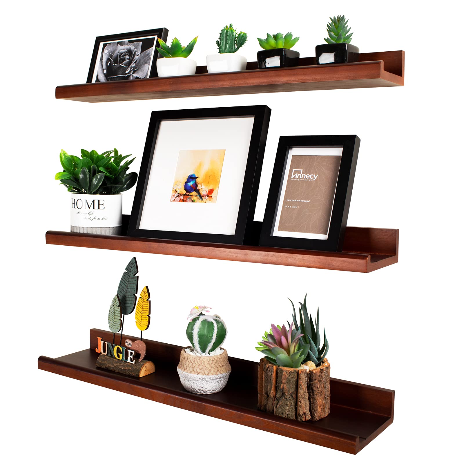 Buy Annecy Floating Shelves Wall Mounted Set of 3, 24 Inch Dark Walnut