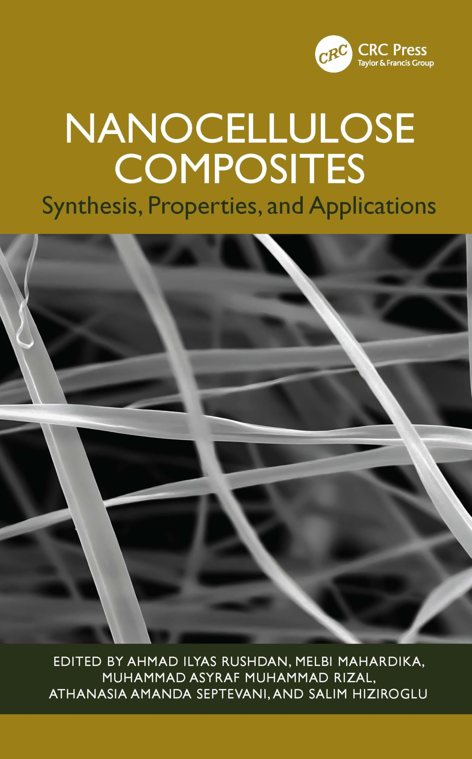 Nanocellulose Composites: Synthesis, Properties, and Applications