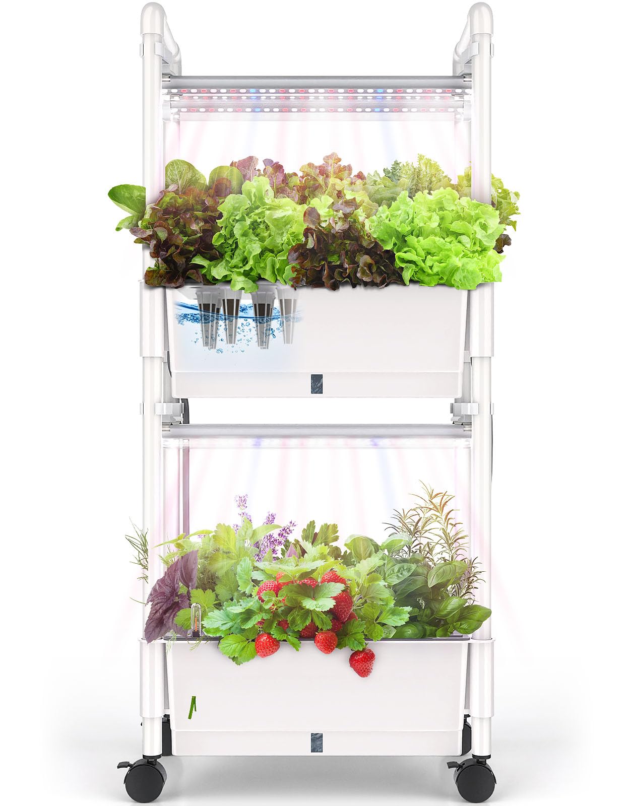 AOONEG 28Pods Indoor Herb Garden